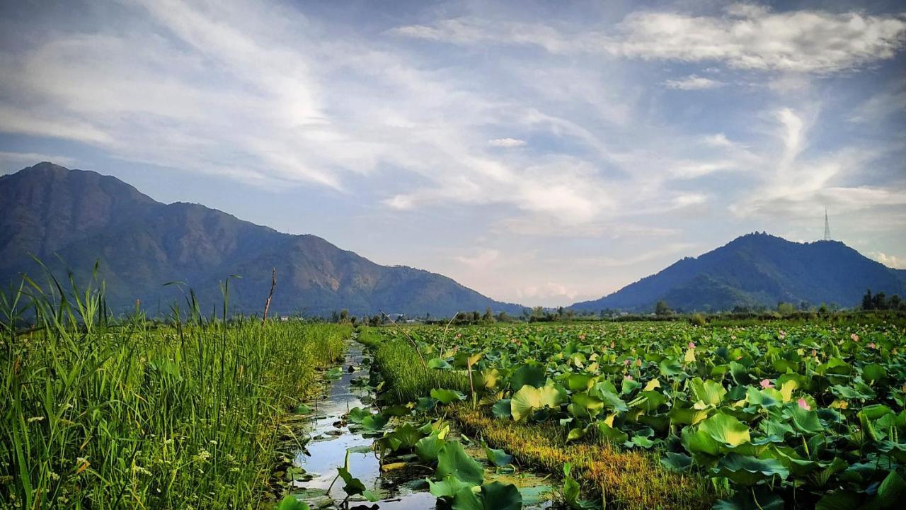 Green View Group Of Houseboats Srinagar  Exterior photo